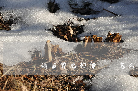 離婚后曾患抑郁癥該怎么辦
