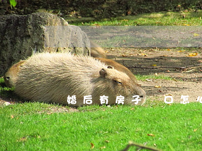 離婚后有房子戶口怎么辦