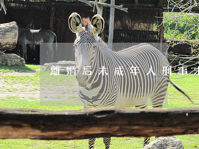 離婚后未成年人刑事(未成年可以判刑嗎)
