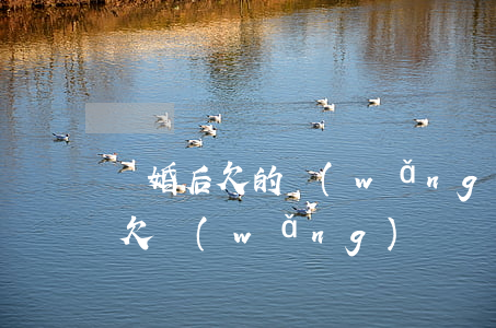 離婚后欠的網(wǎng)貸會連累家人嗎(欠網(wǎng)貸會連累家人嗎)