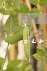離婚后母親如何搶孩子