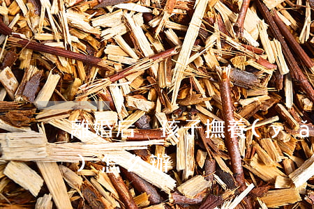 離婚后沒孩子撫養(yǎng)費(fèi)怎么辦