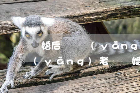 離婚后沒撫養(yǎng)孩子能讓孩子養(yǎng)老嗎(離婚了孩子能給我養(yǎng)老嗎)