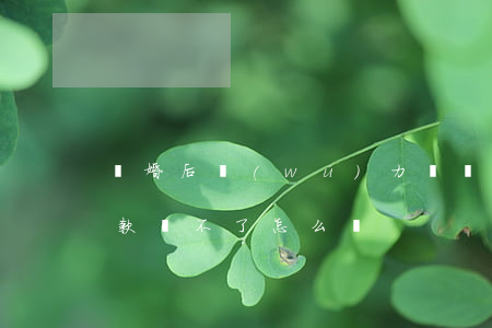 離婚后無(wú)力償還貸款(離婚后銀行貸款還不了怎么辦)