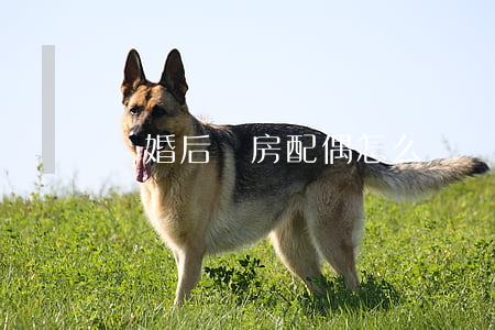 離婚后無房配偶怎么辦