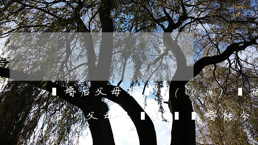 離婚后父母有義務(wù)給孩子買車嗎(婚后以父母名義買車,離婚能分嗎)