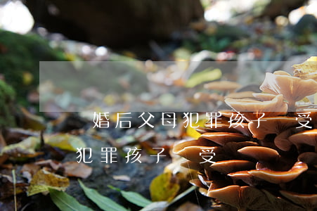 離婚后父母犯罪孩子還受牽連嗎(離婚后父母犯罪孩子還受牽連嗎)