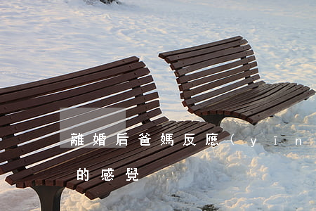 離婚后爸媽反應(yīng)(婚后離開父母的感覺)
