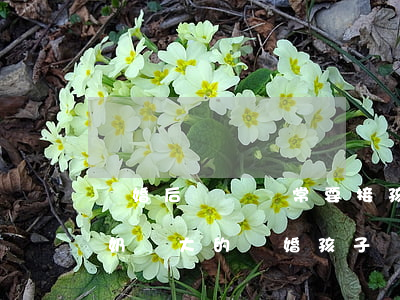 離婚后爺爺經常要接孩子(孩子一直是爺爺奶奶帶大的離婚孩子歸誰)