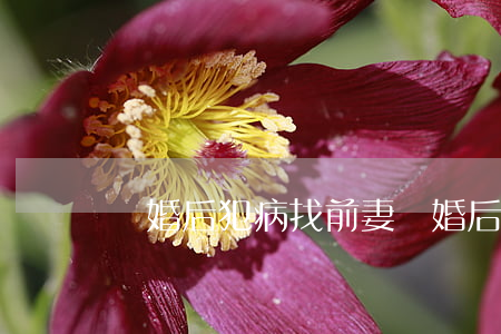 離婚后犯病找前妻(離婚后前夫病重應該幫嗎)