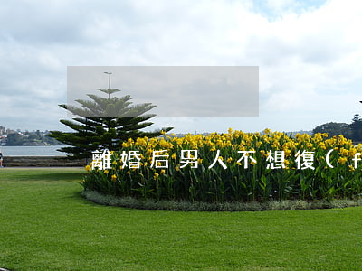 離婚后男人不想復(fù)婚嗎