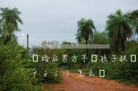 離婚后男方不給孩子扶養(yǎng)費(fèi)怎么辦