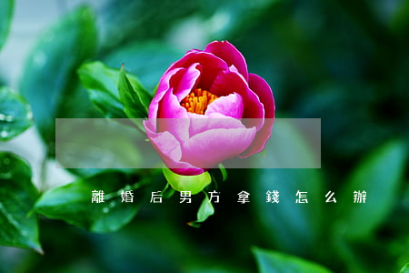 離婚后男方拿錢怎么辦