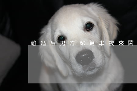 離婚后男方深更半夜來鬧怎么辦