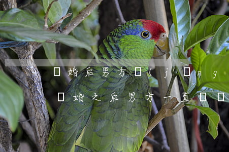離婚后男方經(jīng)常騷擾女方家人(離婚之后男方一直騷擾女方)