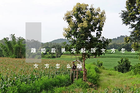 離婚后男方起訴女方怎么辦(離婚后男方起訴女方怎么辦)