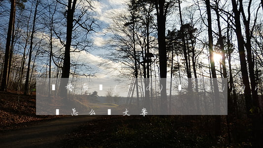 離婚后發(fā)現(xiàn)老公出軌該怎么辦文案