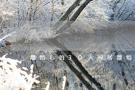 離婚后的30天同居(離婚前30天)