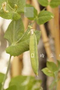 離婚后的對方不給撫養費怎么辦
