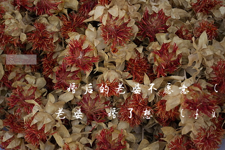 離婚后的老婆不愿意復(fù)婚怎么辦(和老婆離婚了想復(fù)婚怎么辦)