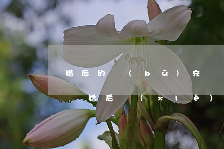 離婚后的補(bǔ)充協(xié)議怎樣簽(離婚后協(xié)議可以補(bǔ)充嗎)