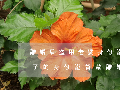 離婚后盜用老婆身份證貸款犯法嗎(丈夫拿妻子的身份證貸款離婚怎么辦)