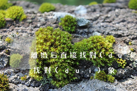 離婚后直接找對(duì)象(離婚后如何再找對(duì)象)