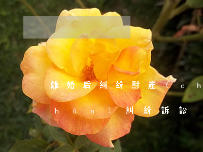 離婚后糾紛財產(chǎn)(離婚財產(chǎn)糾紛訴訟)