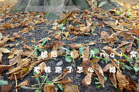 離婚后經(jīng)常跑婆家是什么情況(老婆跑了怎么離婚)