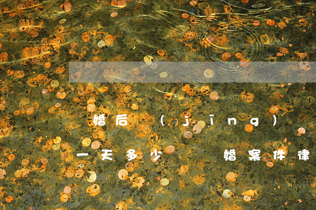 離婚后經(jīng)濟(jì)糾紛律師一天多少錢(離婚案件律師費(fèi)一般多少錢)