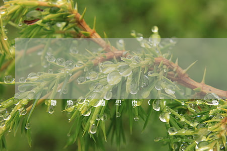 離婚后總想復(fù)婚怎么辦