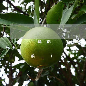 離婚后繼子可以繼承房產(chǎn)嗎(婚前財(cái)產(chǎn)繼子有權(quán)利繼承嗎)