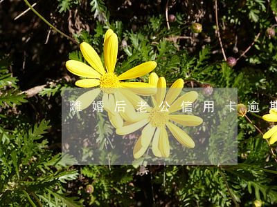 離婚后老公信用卡逾期要還嗎