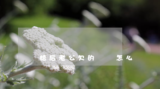 離婚后老公欠的賭賬怎么辦