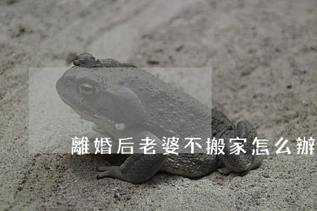 離婚后老婆不搬家怎么辦