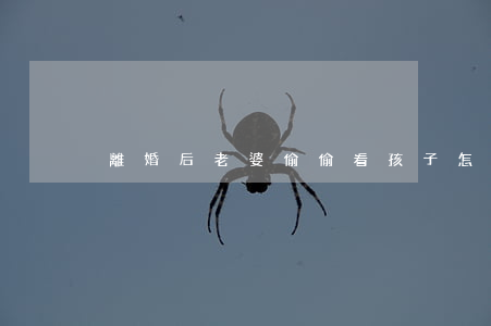 離婚后老婆偷偷看孩子怎么辦
