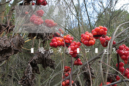 離婚后老婆戶口遷走怎么辦
