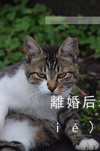離婚后老婆財產(chǎn)會被凍結(jié)嗎(老公被凍結(jié)財產(chǎn),老婆會不會被凍結(jié))