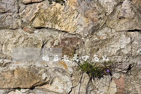 離婚后老是吵怎么辦