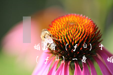 離婚后背負(fù)十幾萬債務(wù)(背負(fù)一身債離婚的女人)