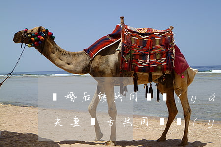 離婚后能共同撫養(yǎng)孩子嗎(離婚夫妻雙方共同撫養(yǎng)孩子)
