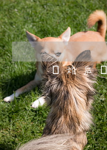 離婚后補(bǔ)的欠條有效嗎