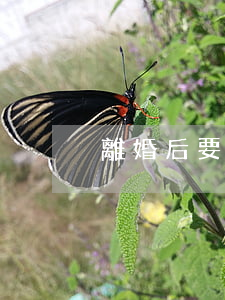 離婚后要不要復婚
