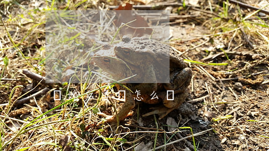 離婚后要賬怎么辦