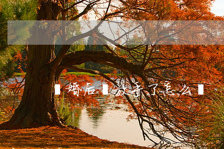 離婚后該放手了怎么辦