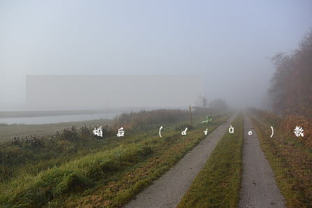 離婚后調(diào)教王雨