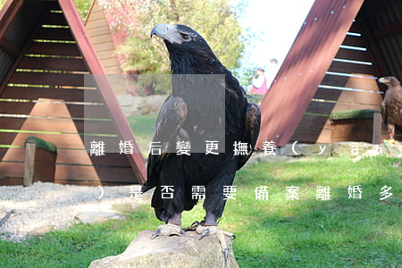 離婚后變更撫養(yǎng)權(quán)是否需要備案(離婚多久可以要求變更撫養(yǎng)權(quán))