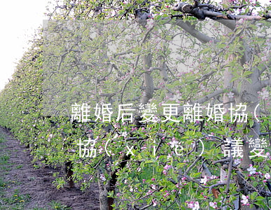 離婚后變更離婚協(xié)議書模版(離婚協(xié)議變更書怎么寫)