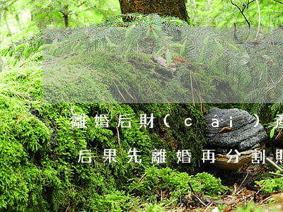 離婚后財(cái)產(chǎn)分割的后果(先離婚再分割財(cái)產(chǎn)壞處)