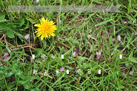 離婚后財(cái)產(chǎn)如何分配，夫妻離婚后財(cái)產(chǎn)如何分配